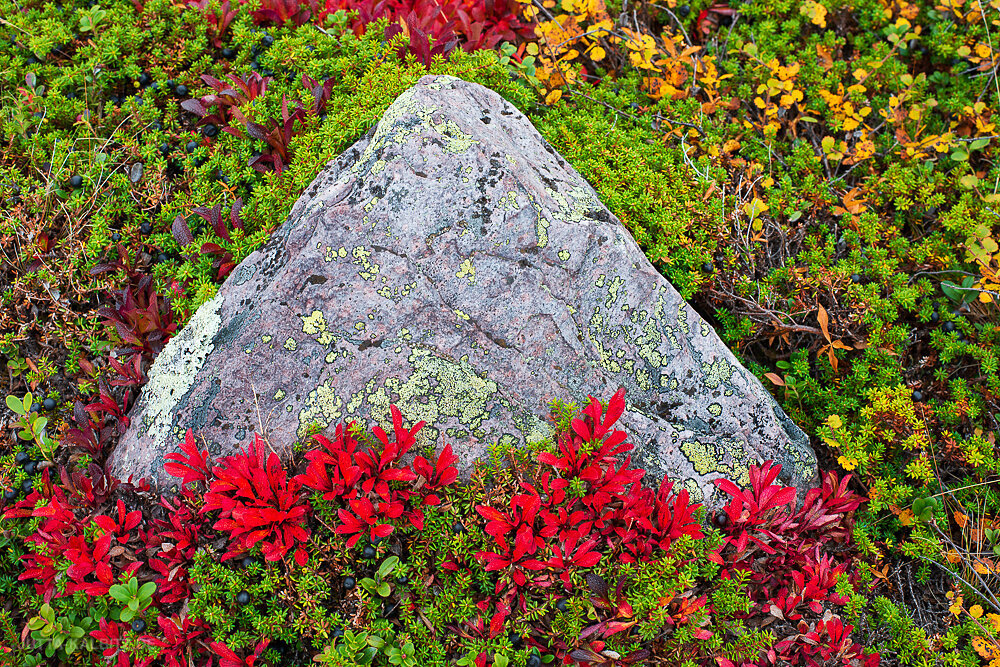 Im Fjell 