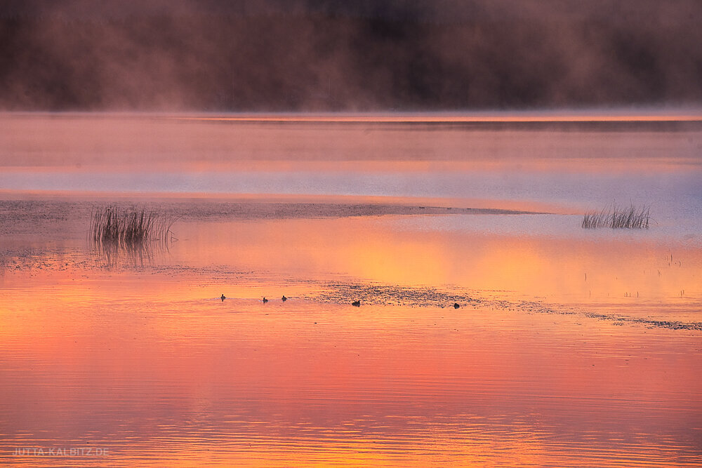 Am-Goldenen-See-0.JPG