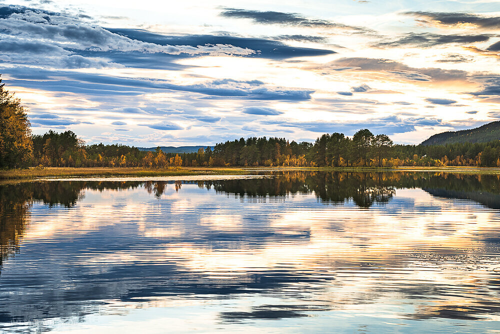 Mittelschweden-3.JPG