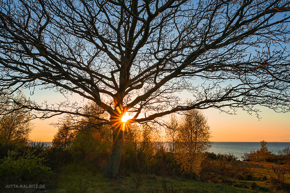 Bornholm-0.JPG