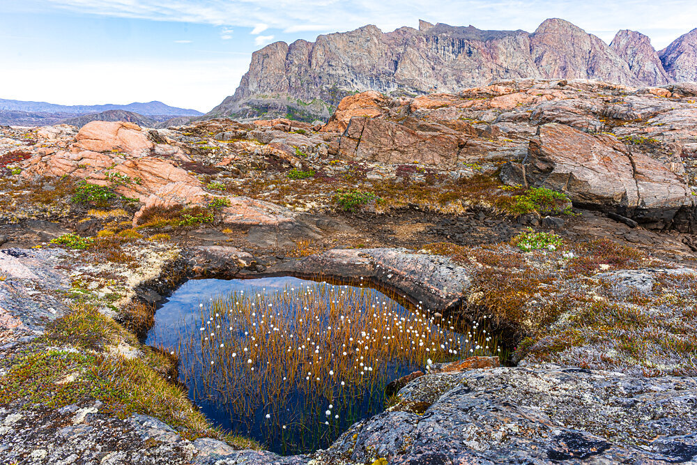 scoresbysund-5.JPG