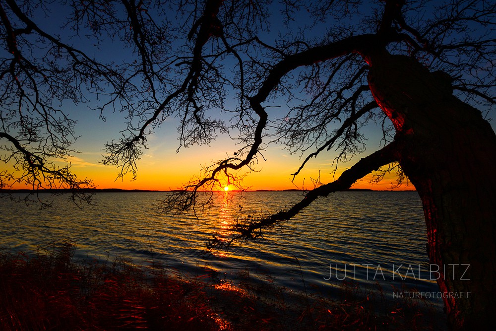 Dezemberabend - Jasmunder Bodden